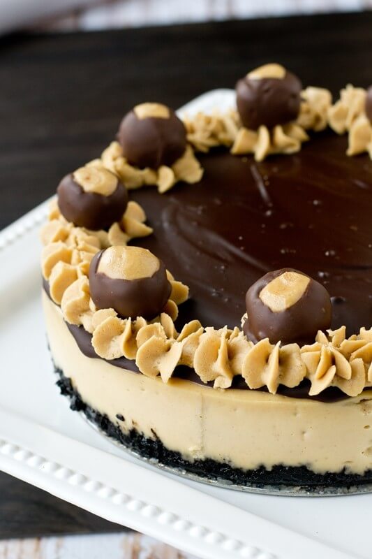Peanut Butter Buckeye Cheesecake Tastes of Lizzy T's