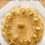 Nutter Butter Peanut Butter Cake - Tastes of Lizzy T
