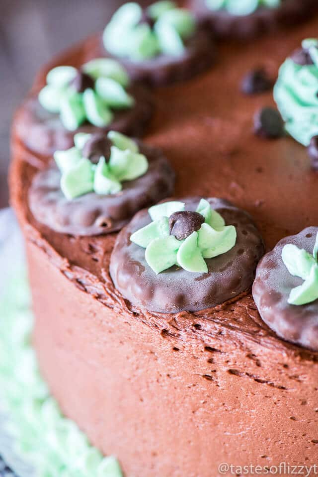 grasshopper-mint-chocolate-cake-recipe