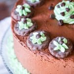 grasshopper-mint-chocolate-cake-recipe