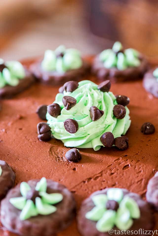 grasshopper-mint-chocolate-cake-recipe