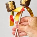 s'mores on a stick: chocolate covered teddy graham s'more pop