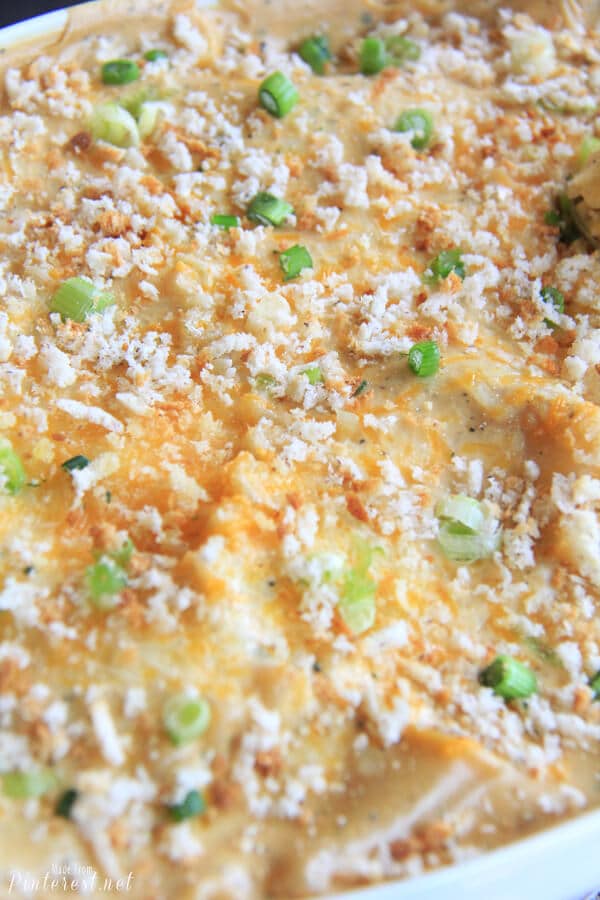 gluten-free-white-chicken-lasagna-recipe