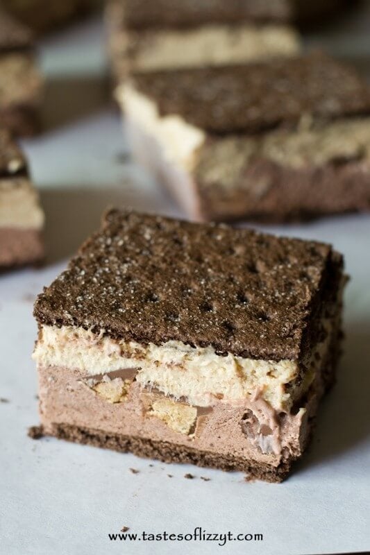 Reese's Stuffed Ice Cream Sandwiches. There's a chocolate pudding layer and a peanut butter layer, with Reese's stuffed between, of course!