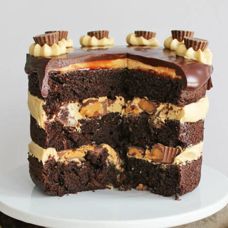 cake recipes