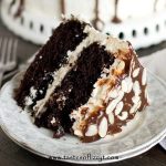 Almond Joy Layer Cake Recipe - Tastes of Lizzy T