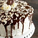 Almond Joy Layer Cake Recipe - Tastes of Lizzy T