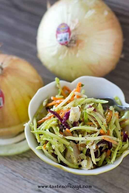 Paleo Broccoli Slaw Recipe - Tastes of Lizzy T