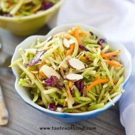 This crunchy Paleo Broccoli Slaw is just the healthy side dish that you’ve been looking for. It has a tangy homemade dressing and comes together in just minutes.