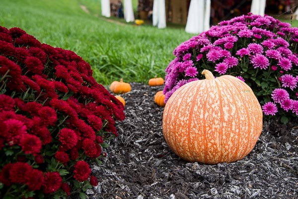 Visit Bob Evans Farm in Rio Grande, Ohio. Original home of Bob and Jewell Evans, Adamsville. 