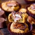 pumpkin turtle cookies