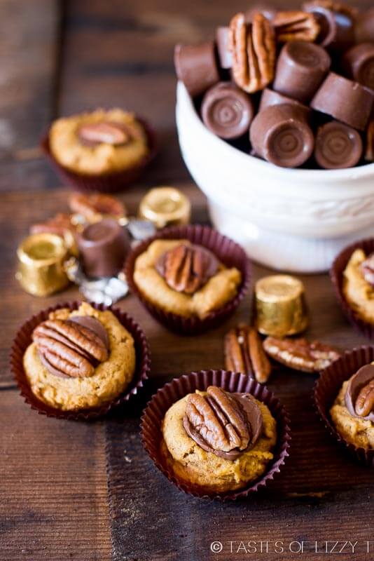 bite sized pumpkin turtle cookies