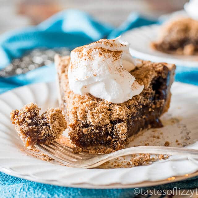 Crumb Pie {Old Fashioned Quakertown Molasses Pie Recipe with Topping}