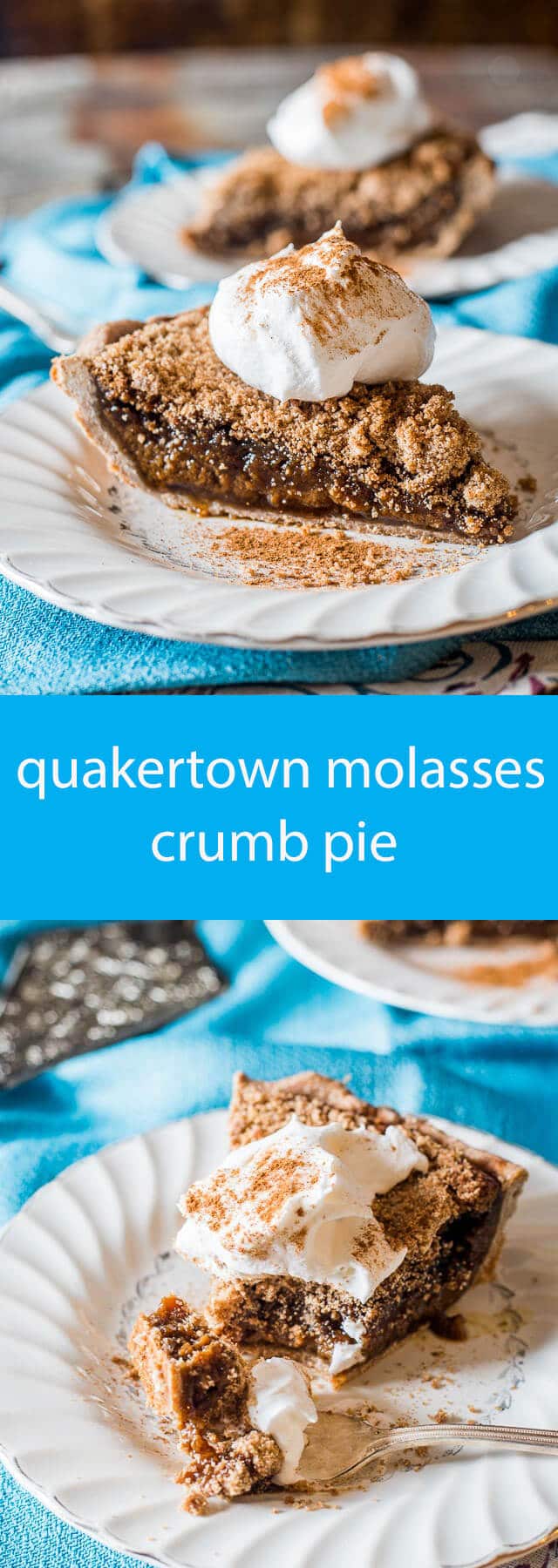 quakertown molasses crumb pie / dessert recipe with molasses / old fashioned recipes / pie recipes / crumb topping for pie / molasses pie