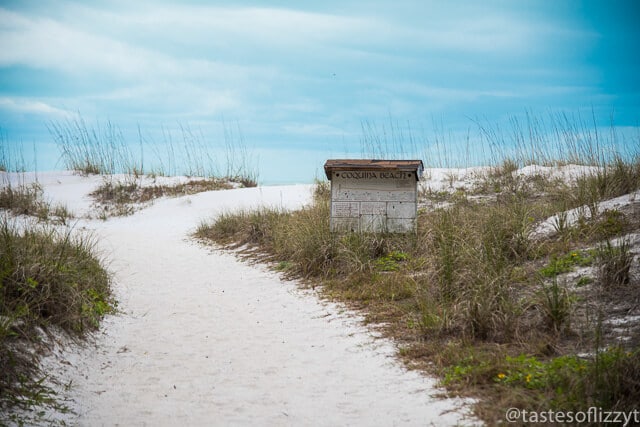 AMI is known for its beautiful white sand beaches! Find out the best beaches on Anna Maria Island for your family vacation.