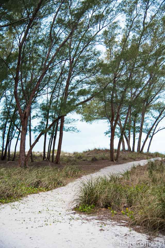 AMI is known for its beautiful white sand beaches! Find out the best beaches on Anna Maria Island for your family vacation.
