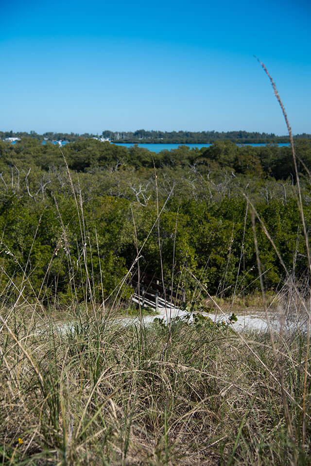The Best Beaches on Anna Maria Island