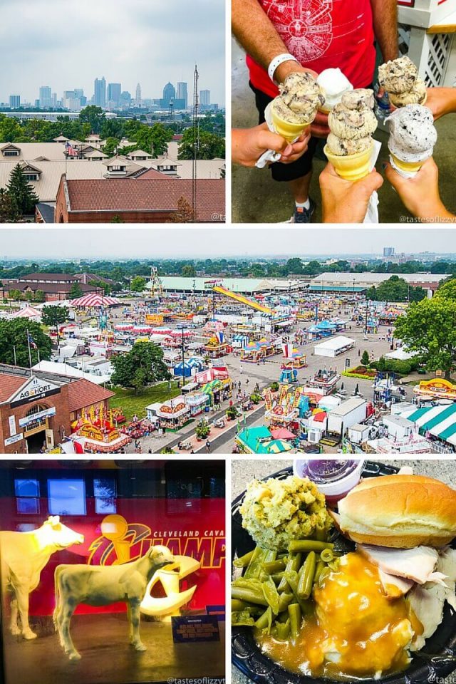 A Family Guide to the Ohio State Fair Tastes of Lizzy T