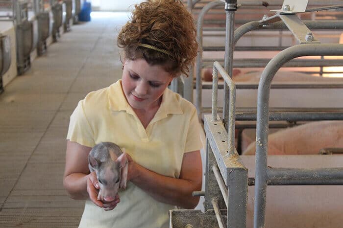 virtual hog farm tour