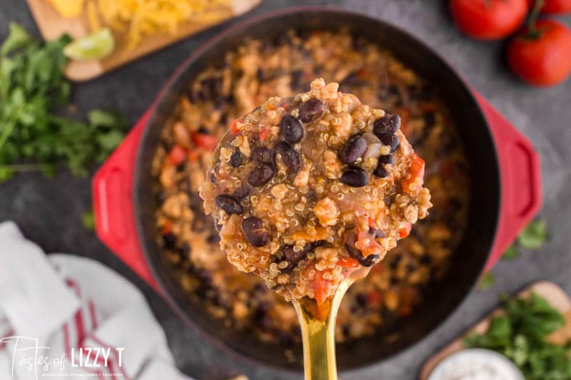 Black Bean Chicken Chili Recipe Tastes of Lizzy T