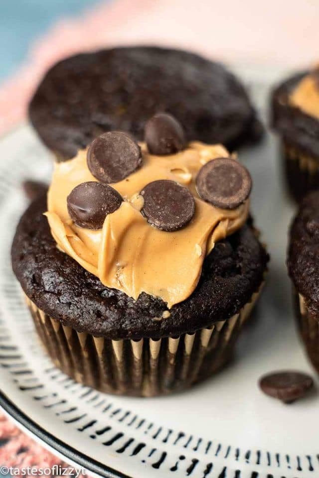 chocolate peanut butter muffin with chocolate chips