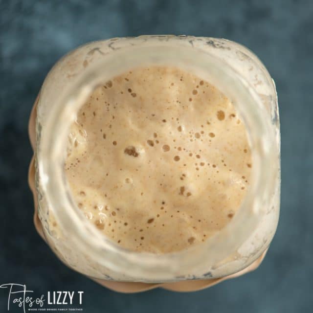 top view of bubbly, active sourdough starter