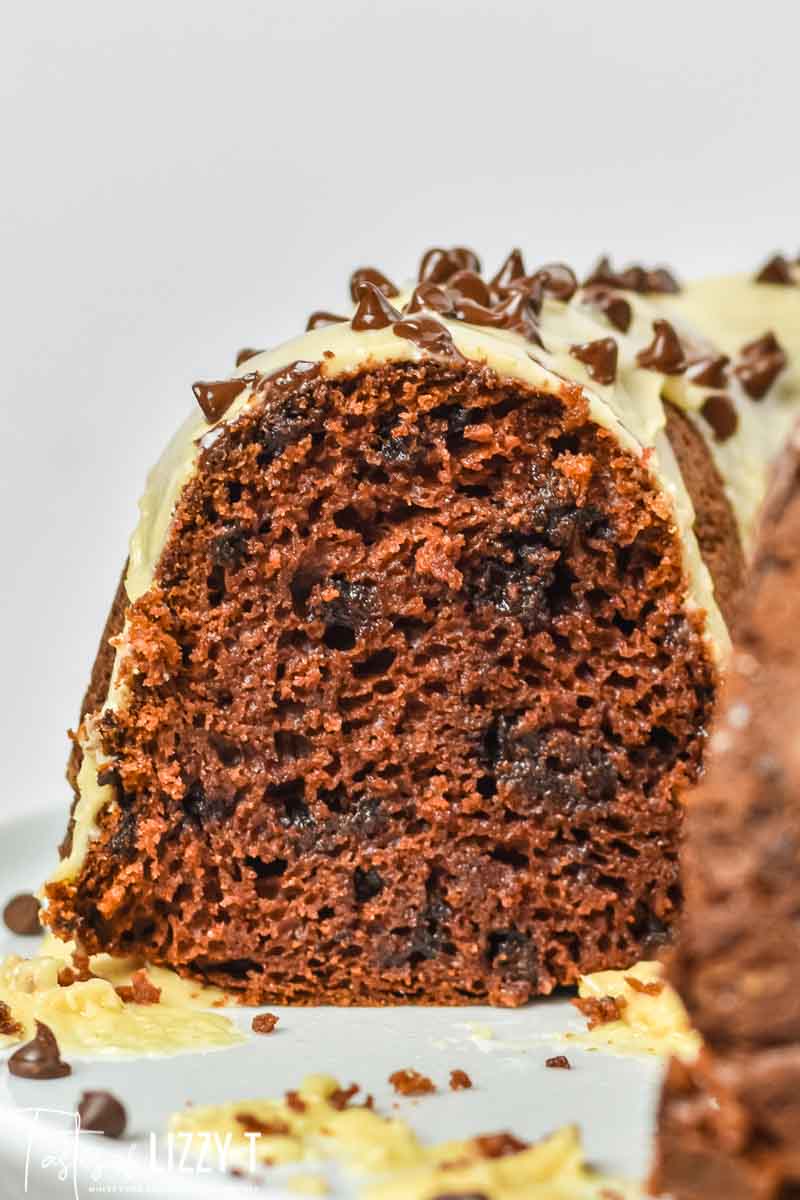 slice of chocolate peanut butter bundt cake with chocolate chips