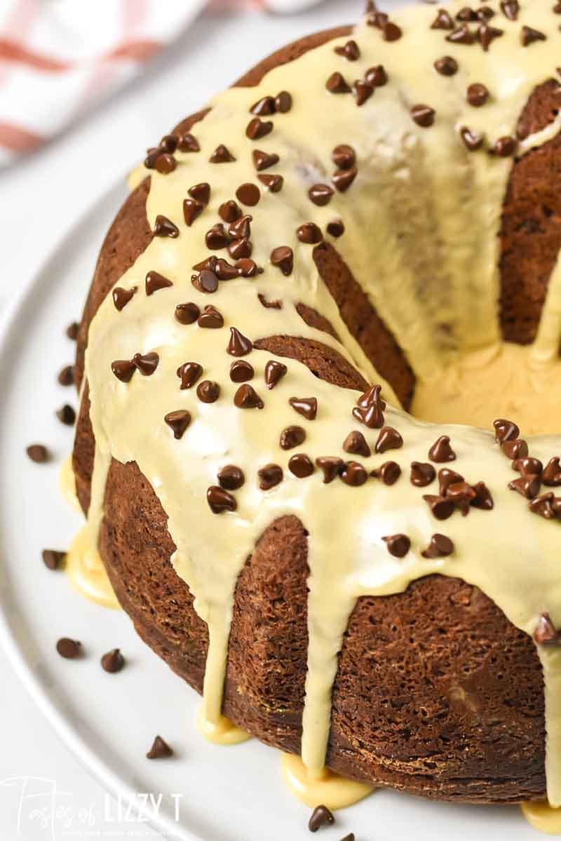 Chocolate Chip Bundt Cake (With Cake Mix) - The Shortcut Kitchen