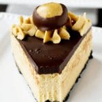 peanut butter buckeye cheesecake with oreo crumb crust and chocolate ganache