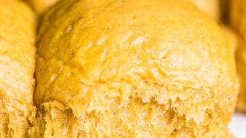 homemade pumpkin dinner rolls