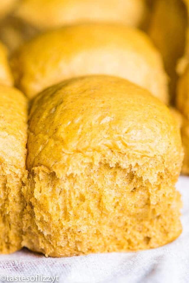 pumpkin yeast rolls