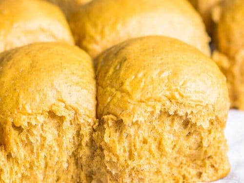 Pumpkin Dinner Rolls Soft Fluffy Roll Recipe For Holiday Dinner Parties Pumpkin Dinner Rolls Soft Fluffy Roll Recipe For Holiday Dinner Parties