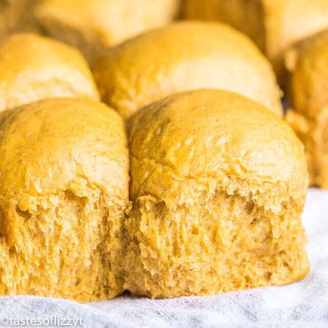 homemade pumpkin dinner rolls