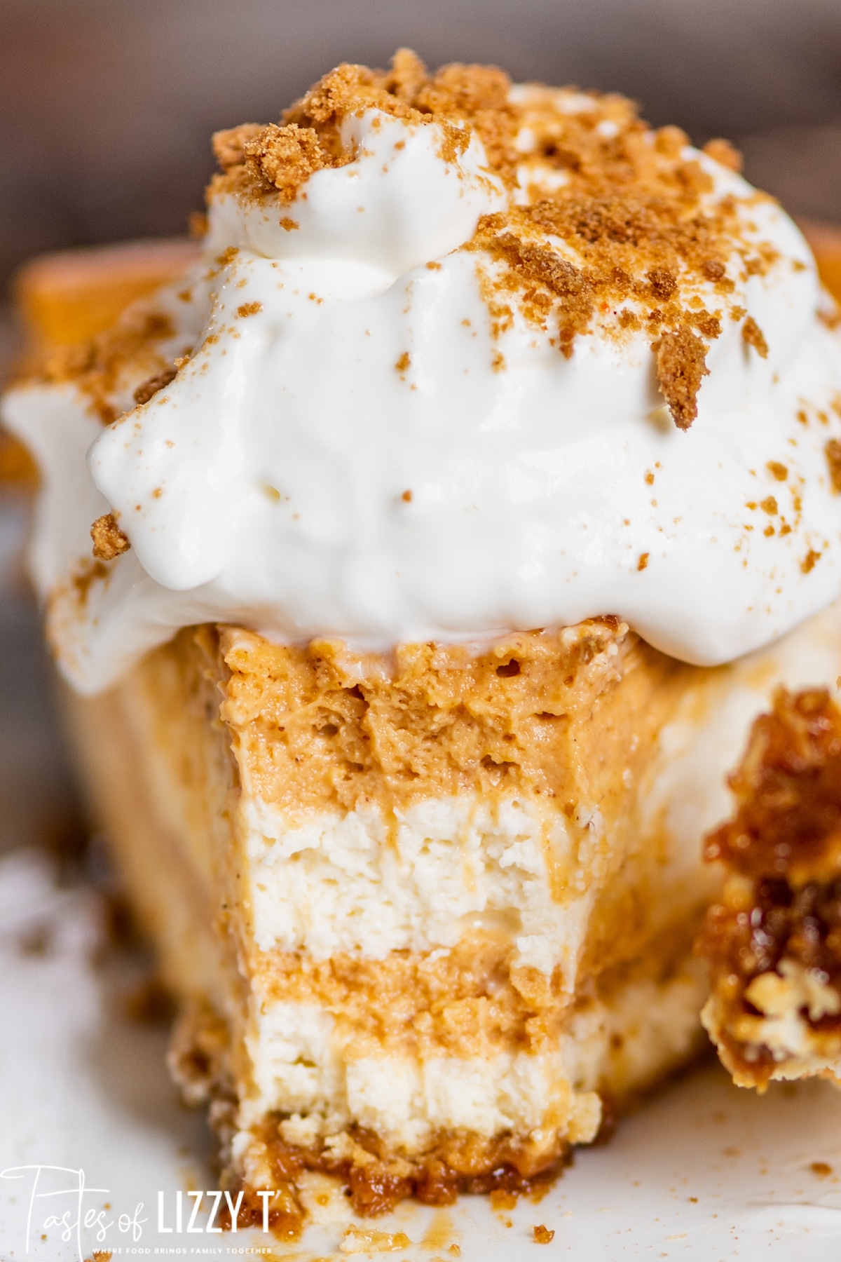 Pumpkin Swirl Cheesecake Recipe | Tastes of Lizzy T