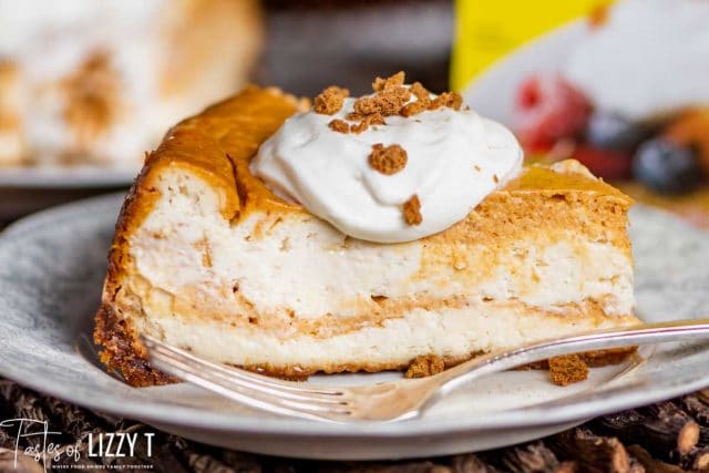 pumpkin swirl cheesecake with whipped cream on a plate