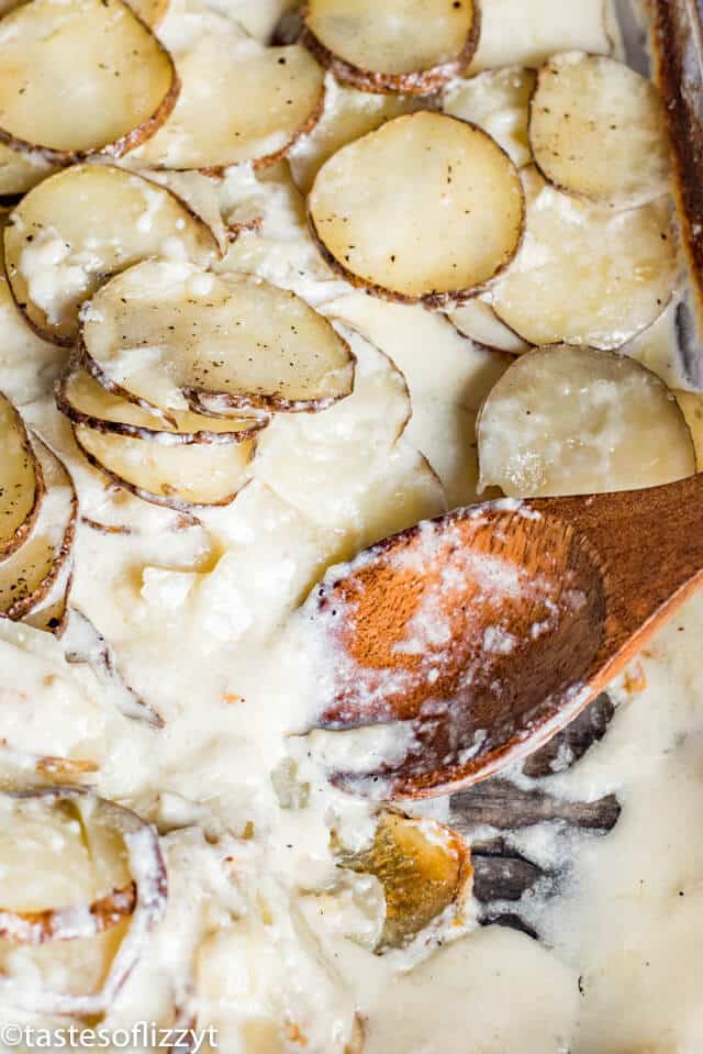 A close up of scalloped potatoes