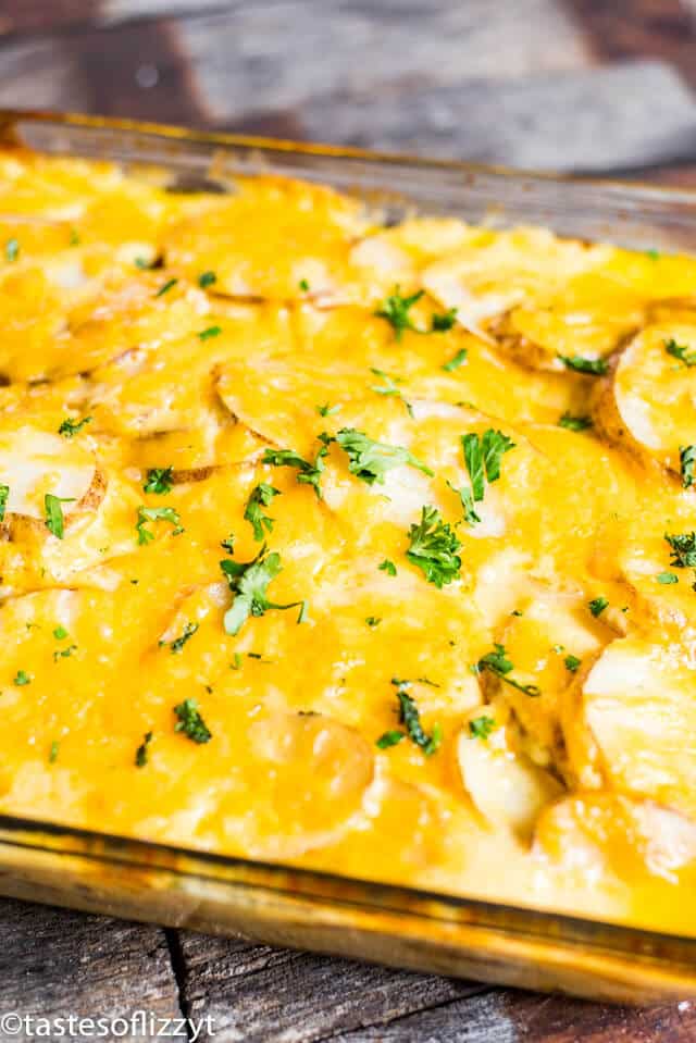 baked potatoes with cheese
