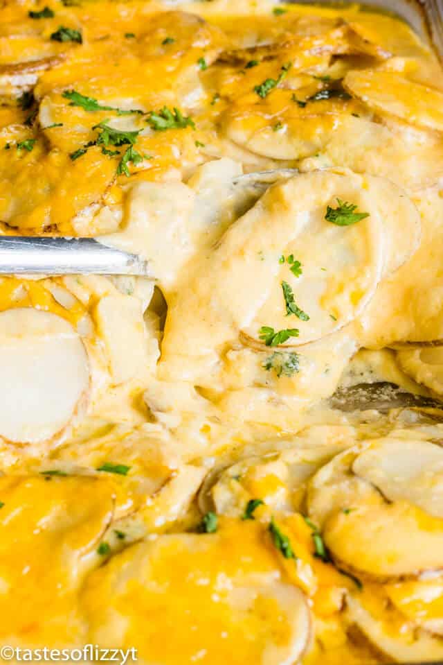 A close up of cheesy scalloped potatoes in a baking pan