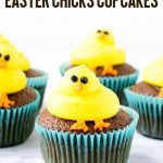 A complete tutorial on how to make cute Easter chicks cupcakes for your spring party! Baby chicks are piped onto vegan chocolate cupcakes for a cute kids craft.