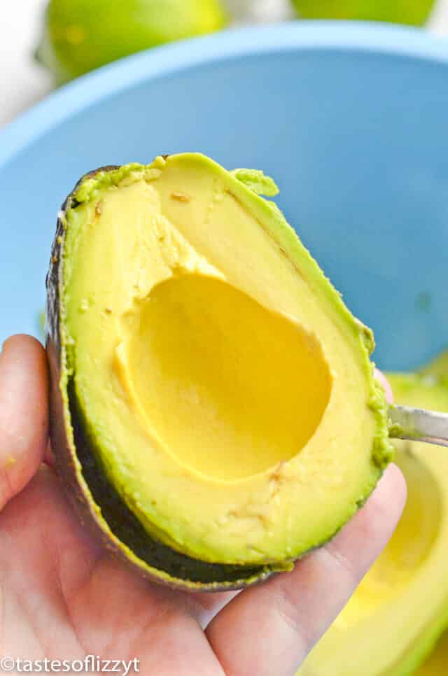 avocado sliced in half