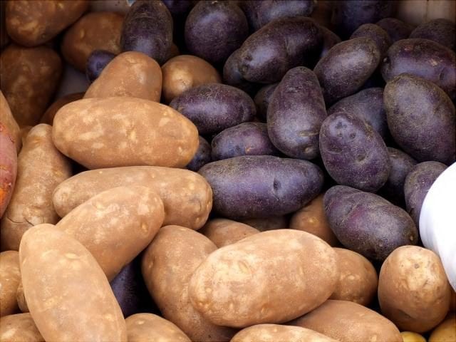 common types of potatoes at the farmer's market