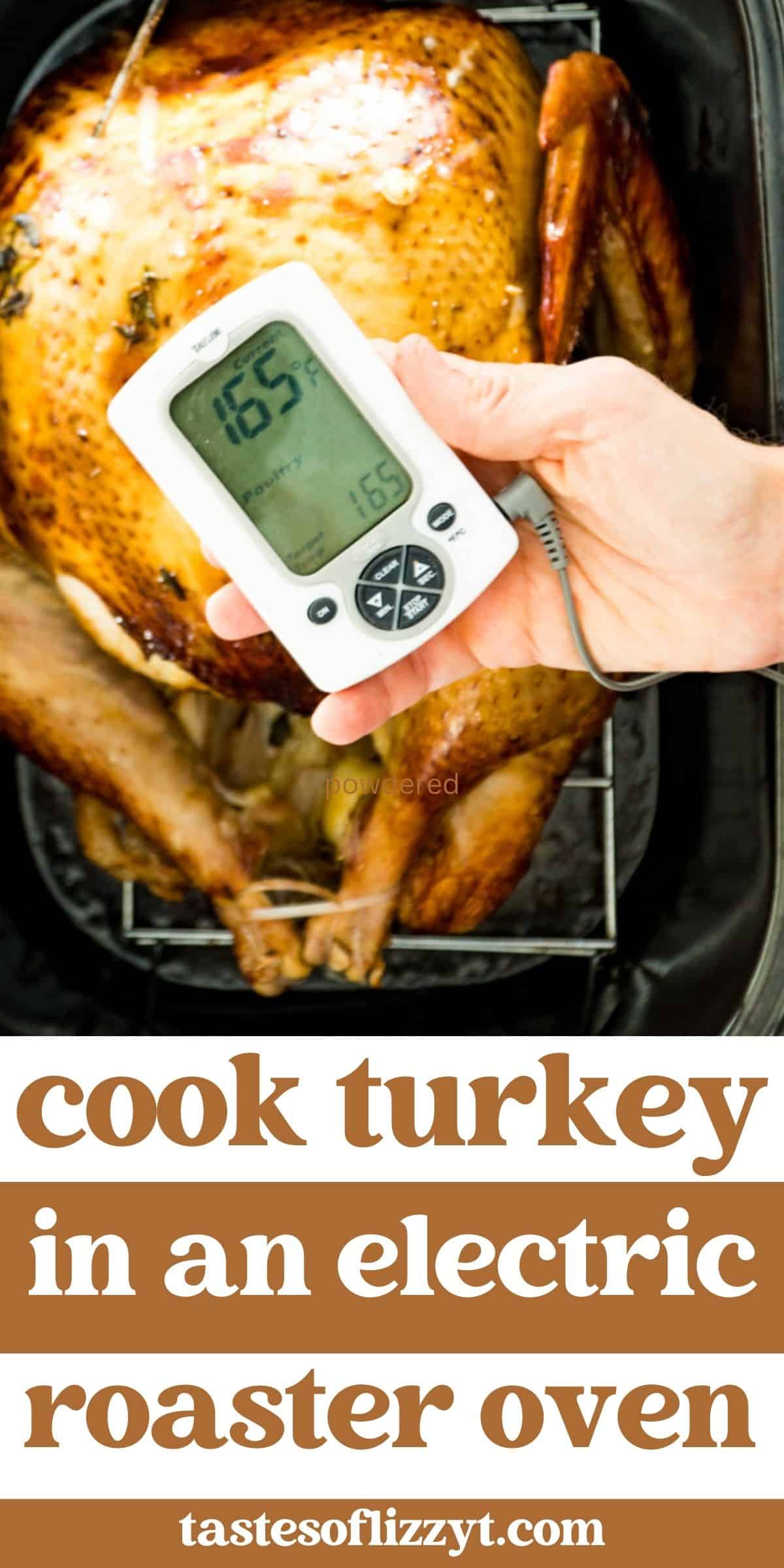 20 Quart Turkey Roaster Oven & Triple Slow Cooker Food Warmer