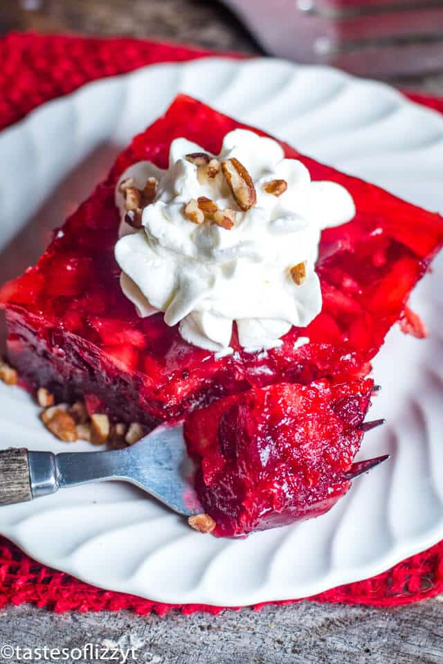 Cranberry Jello Salad - Dinner at the Zoo