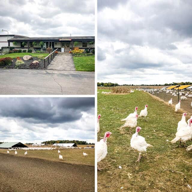 bowman landes turkey farm