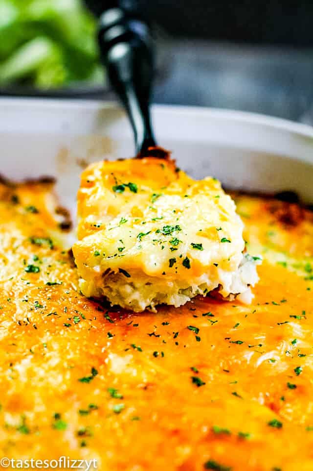 spoonful of au gratin potato casserole