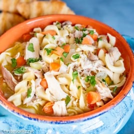 Chicken Noodle Soup with carrots and celery