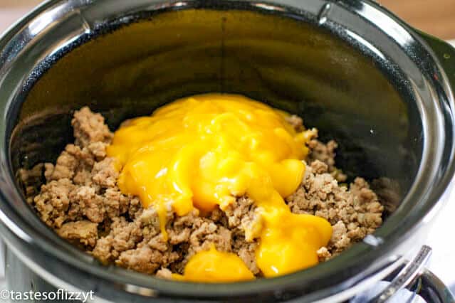 browned turkey and cheese sauce in slow cooker