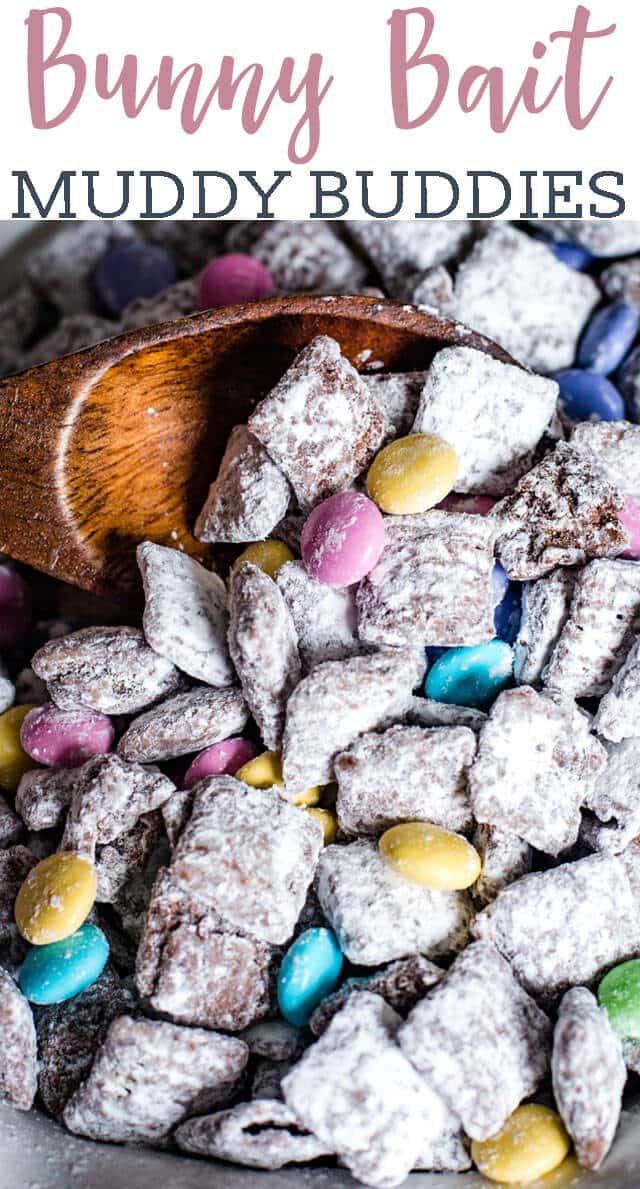 closeup of puppy chow title image