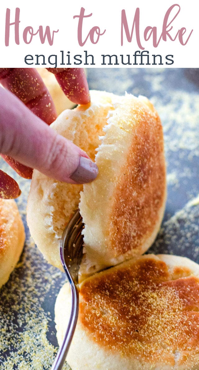 A close up of english muffin splitting by a fork