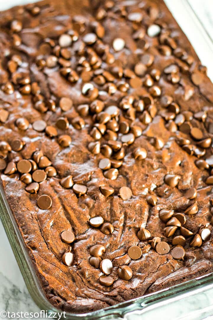 Homemade chocolate brownies in pan